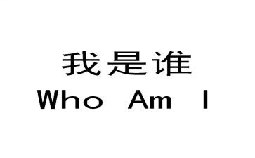 我是谁励志演讲稿8篇