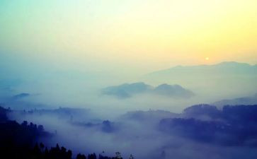 雾霾的调查报告精选5篇