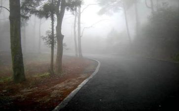 雾的优秀作文500字5篇