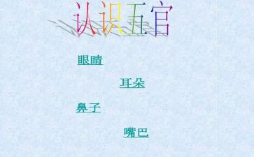 幼儿园五官教案5篇