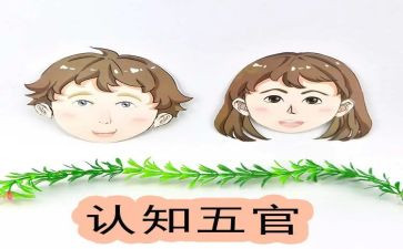 五官教案6篇