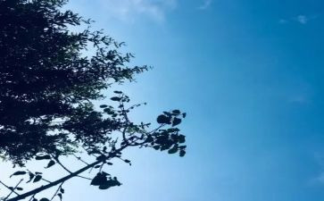 《无聊》作文参考6篇