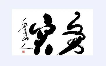 志愿服务实践活动总结6篇