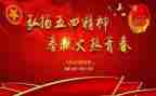 庆五四演讲稿精选5篇