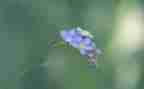 勿忘国耻牢记918演讲稿7篇