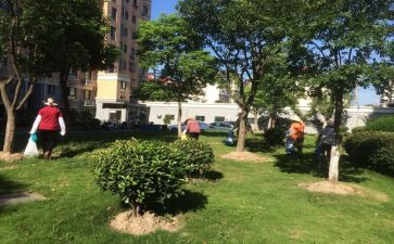 物业小区客服工作计划7篇