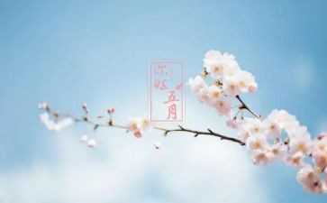 青协五月计划最新7篇