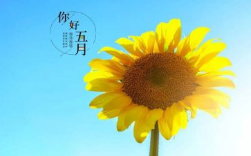 五月份幼儿园工作计划精选6篇