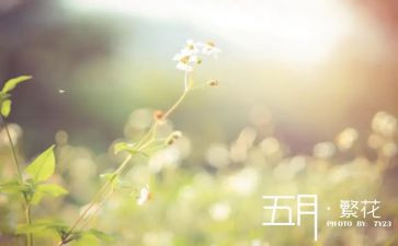 幼儿园五月份工作计划7篇
