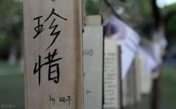 珍惜学习的演讲稿精选6篇