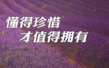 珍惜作文600字5篇