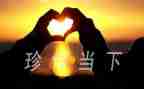 珍惜500字作文8篇