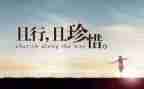 珍惜水主题班会教案7篇
