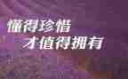 珍惜有谊的作文参考7篇