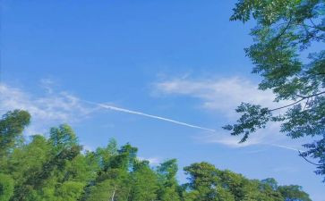 夏天作文500字初中作文5篇