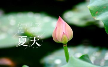 初中作文夏600字参考7篇