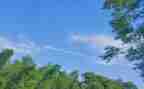 夏天到夏天到教案最新7篇