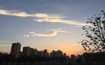 中班下班级工作计划优秀5篇