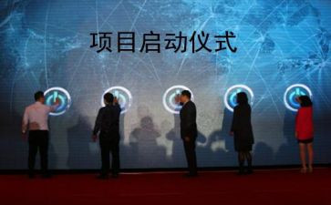 2024年项目办工作总结5篇
