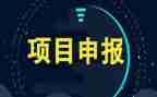 项目性工作计划范文8篇