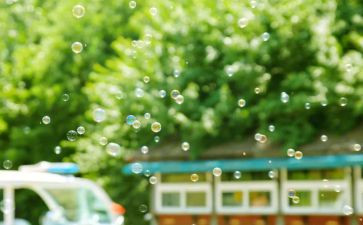 画向日葵的教案8篇