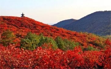 爬香山作文600字8篇