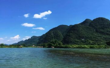 龟先生读后感最新5篇