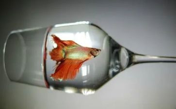 现实的路作文参考6篇