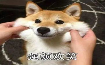 中班语言《笑》教案及反思5篇