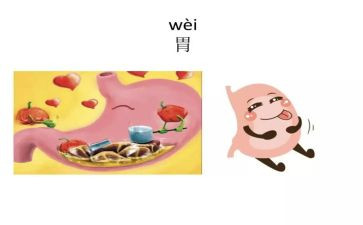 消化医生个人总结7篇