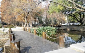 校内实习个人总结2023通用6篇
