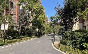小区物业防汛工作总结6篇