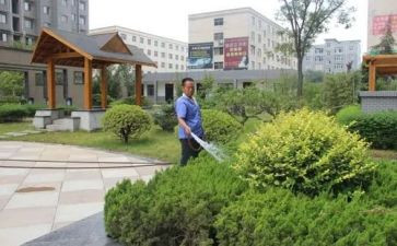 小区物业保洁年工作计划8篇