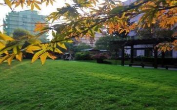 写校园的作文700字8篇
