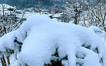 下雪了作文300字作文5篇