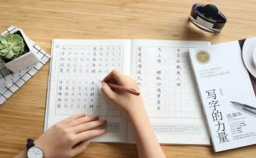 速写作文800字通用8篇