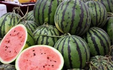 买西瓜教案最新7篇