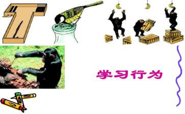 行为准则的心得体会6篇