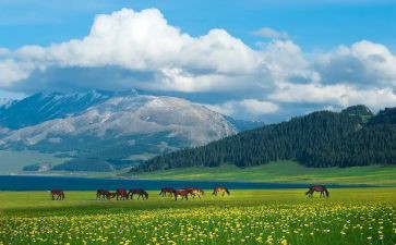 游新疆的作文8篇