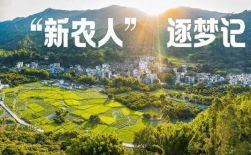 新农村社会调查报告5篇