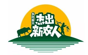 2024年新农村建设工作总结5篇