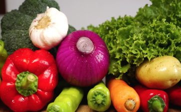 新鲜活动方案8篇