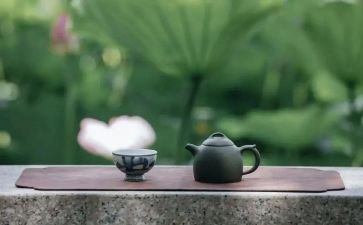 个人修养作文通用7篇