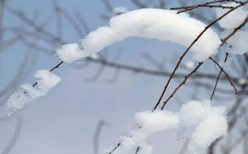 有关雪的演讲稿7篇