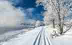 作文《雪》500字优质8篇