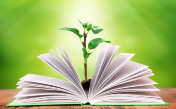 初三政治教学工作总结8篇