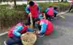 区学雷锋活动方案优质6篇