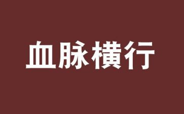 赓续红色血脉,传承雷锋精神心得体会6篇