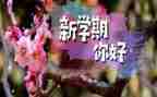 大学生一学期心得体会7篇