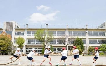 学生生活部会工作总结精选7篇